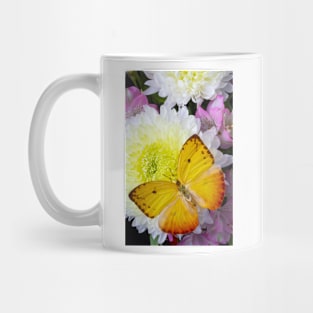 Large Yellow Butterfly On With Mum Mug